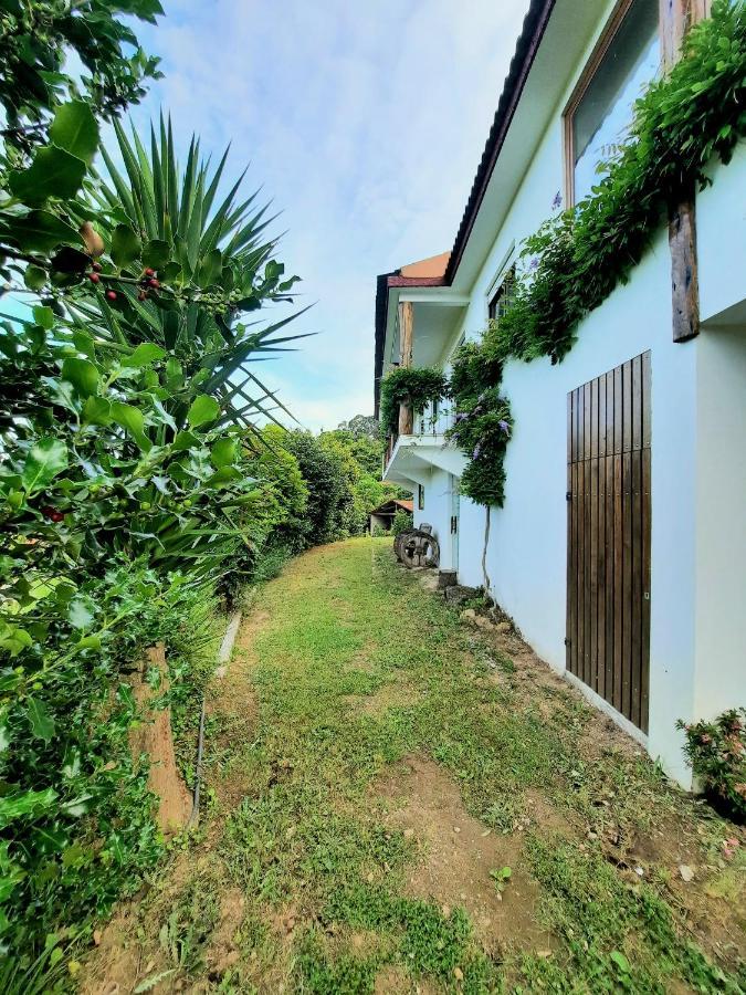 Quintinha D'Amelia Villa Celorico De Basto Dış mekan fotoğraf