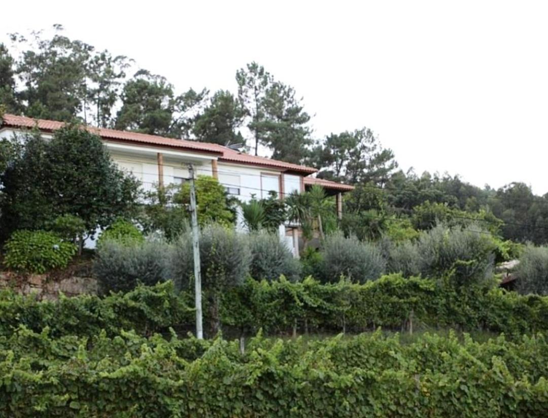 Quintinha D'Amelia Villa Celorico De Basto Dış mekan fotoğraf
