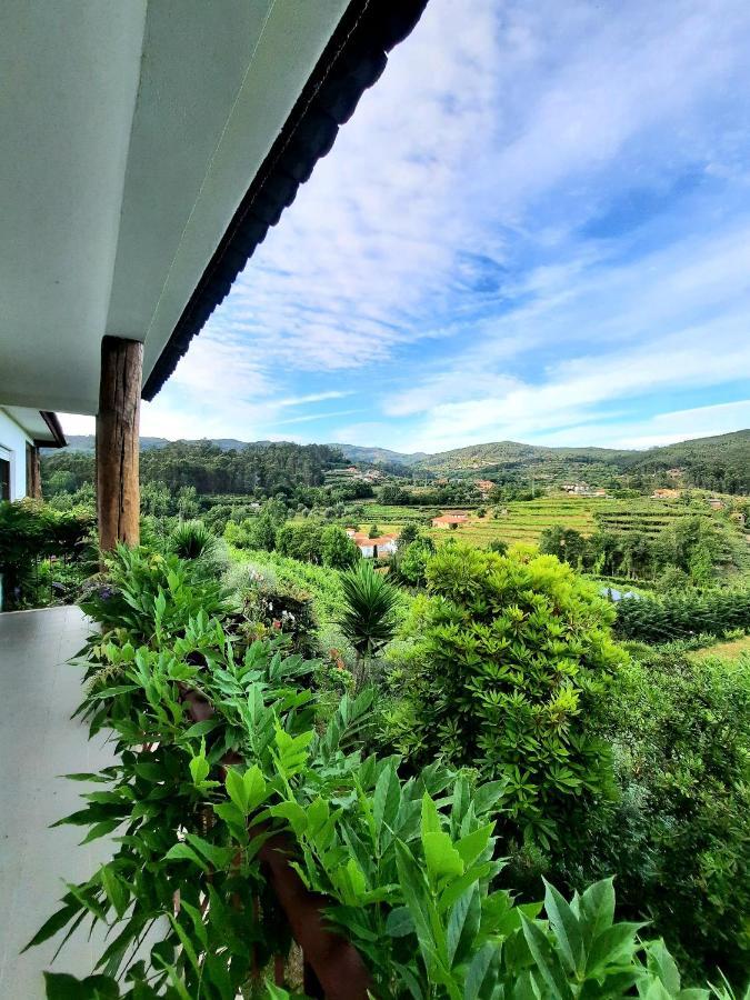 Quintinha D'Amelia Villa Celorico De Basto Dış mekan fotoğraf